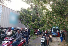 Truk Kontainer Tabrak Pohon di Cianjur, Lalu Lintas Macet 1,5 Jam