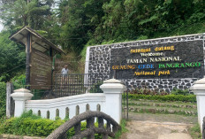 BBTNGGP Tutup Pendakian dan Wisata Gunung Gede Pangrango Selama Ajang Trail Run Internasional