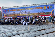 Polri Percepat Swasembada Bawang Putih, Penanaman Serentak Dipusatkan di Cianjur