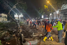 Pohon Tumbang Timpa Dua Motor di Jalan Raya Bandung Cianjur