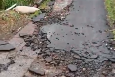 Diguyur Hujan Deras, Jalan Sepanjang 3 Kilometer di Desa Rawabelut Cianjur Rusak Parah