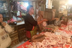 Harga Ayam Potong di Pasar Muka Cianjur Tembus Rp 45 Ribu per Kilogram, Daya Beli Turun