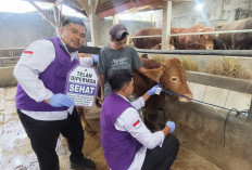 DPKHP Cianjur Turunkan Puluhan Petugas untuk Cek Daging Kurban