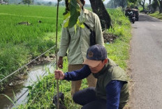 Cegah Longsor dan Banjir, DLH Cianjur Gencarkan Penanaman Pohon