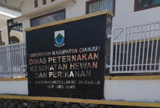 DPKHP Cianjur Pastikan Belum Ada Laporan Ikan Mati Akibat Abu Vulkanik di Waduk Jangari