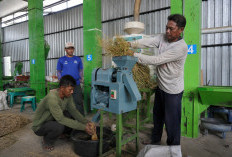 PLN UIP JBT Dorong Produktivitas Petani melalui Program Electrifying Agriculture di Cianjur