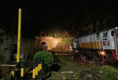 Pengoperasian KA Wisata Jaka Lalana Rute Jakarta-Cianjur Ditunda