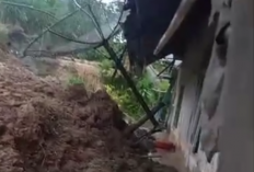 Terancam Tanah Longsor, Warga Pagelaran Cianjur Diungsikan