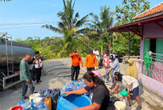 Kekeringan Landa Cianjur Selatan, Ratusan KK Terdampak