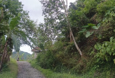 Perbaikan Jalan dan Jembatan Gantung Cikadu Cianjur Diperkirakan Telan Anggaran Rp14 Miliar