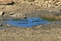 BPBD: Wilayah Cianjur Masuki Musim Kemarau pada April 2026