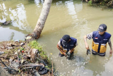 Sungai Cibiuk Cianjur Dipenuhi Sampah, Pasien ODGJ Turun Tangan