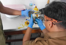 DPKHP Cianjur Buka Layanan Kesehatan Hewan Gratis