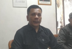 DPP PIC Kritik Penunjukan Pihak Ketiga dalam Pengelolaan Parkir Pasar