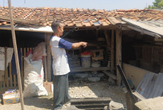 Aksi Maling Unggas Terekam CCTV, Belasan Warga Karangtengah Cianjur Jadi Korban