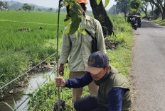 DLH Cianjur Tanam Ratusan Pohon di Kaki Jalan Arteri