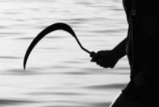 Kedapatan Bawa Celurit di Bagasi, Pemuda Diamankan Polisi