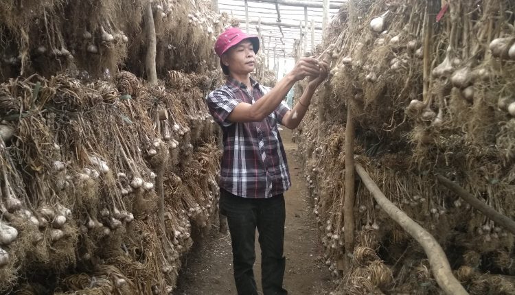 Impor dari China Dihentikan, Diskoperdagin Cianjur Pastikan Stok Bawang Putih Aman