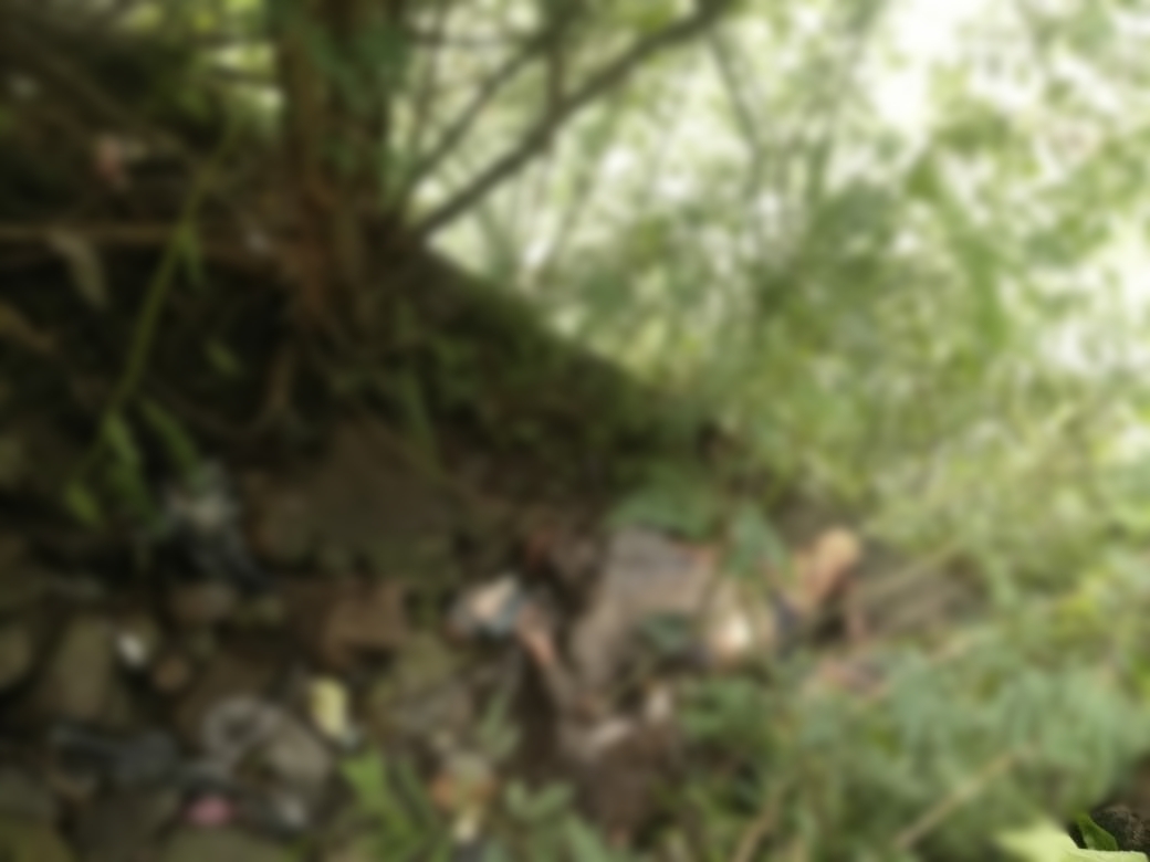 Mayat Tanpa Identitas Ditemukan Membusuk di Cianjur, Ini Ciri-cirinya