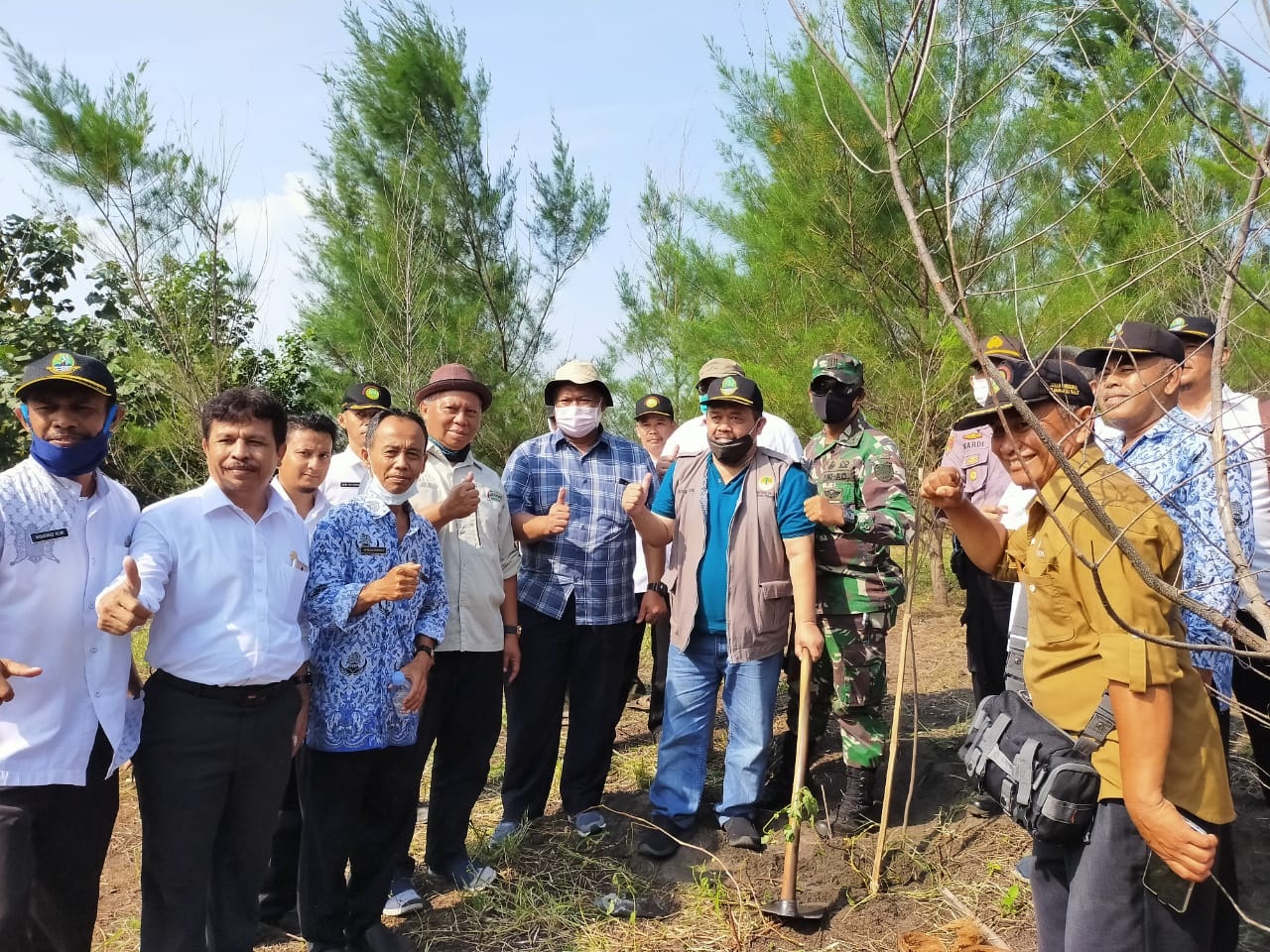 Masih 'Perawan', Ini Pantai Cemara Cipanglay Cianjur Selatan