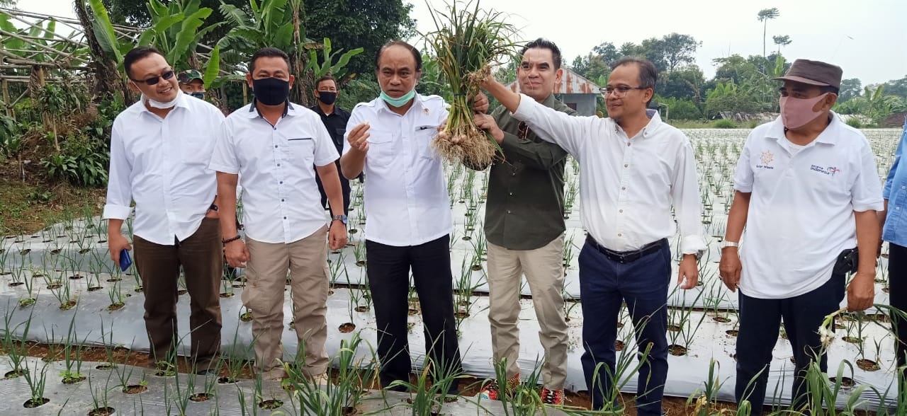 Wamen Desa ke Cugenang Cianjur, Kades Sebut Jokowi Bakal Panen Raya Bawang Putih di Cirumput