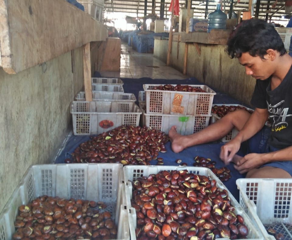 Jelang Idul Adha, Harga Jengkol di Pasar Tradisional Cianjur Kisaran Rp40 Ribu per Kilogram