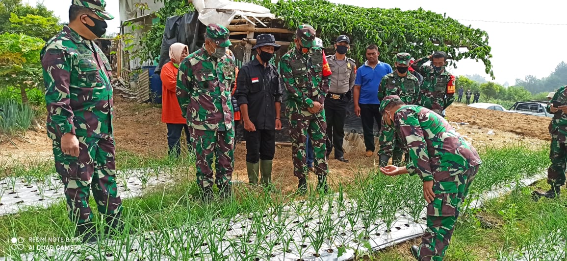 Aster Panglima TNI Tinjau Lokasi Ketahanan Pangan di Pacet Cianjur