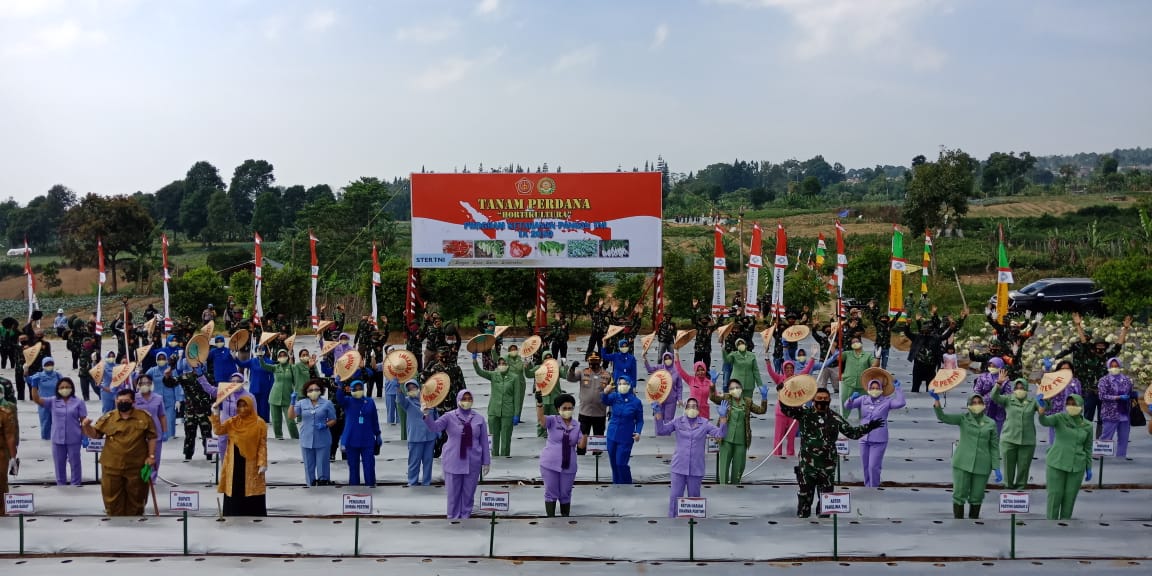 Ketum Dharma Pertiwi Panen Perdana Ketahanan Pangan TNI di Pacet Cianjur