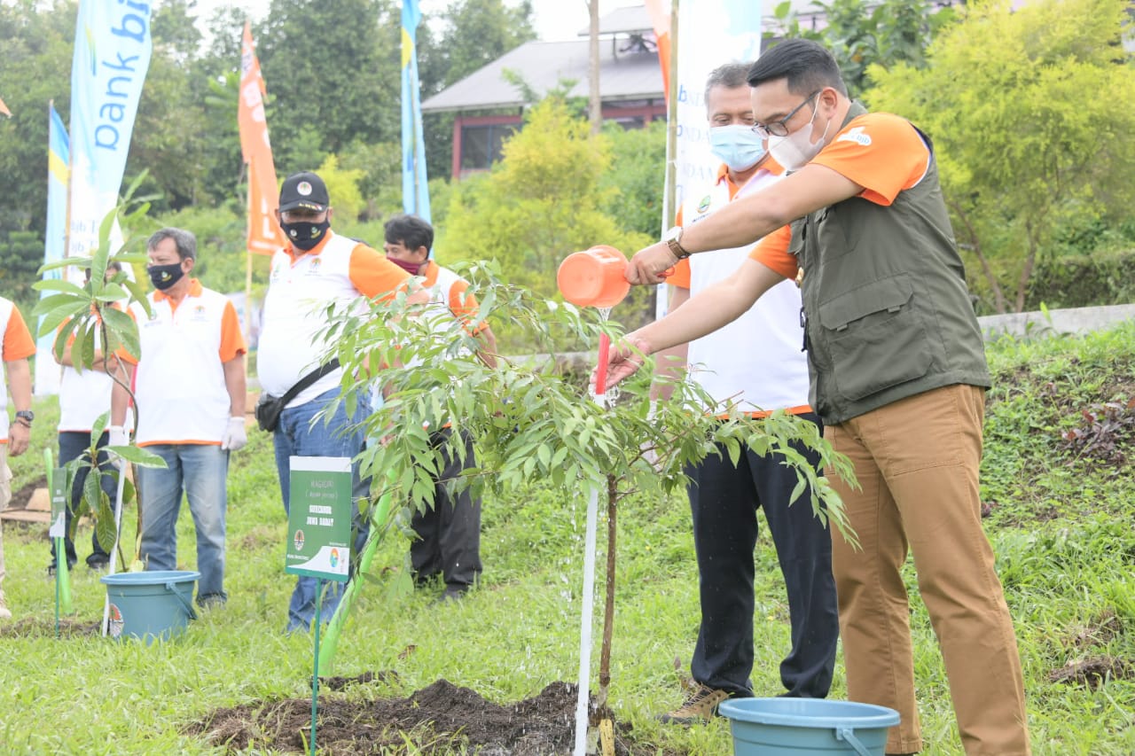 Ridwan Kamil: 50 Juta Pohon Akan Ditanam di Lahan Kritis