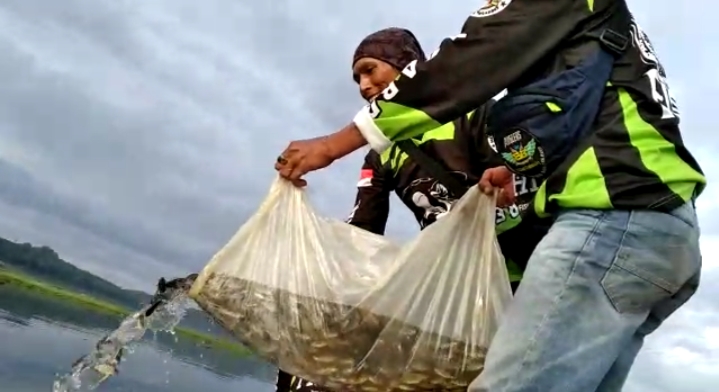 Pulihkan Ekosistem, Komunitas Mancing BMWC Tanam Ribuan Benih Ikan di Waduk Cirata