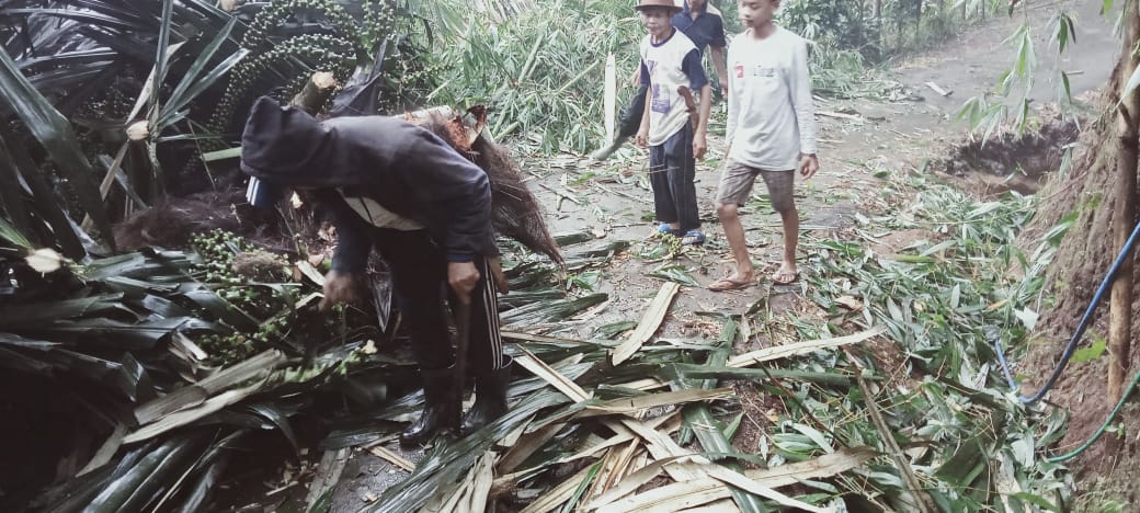 Akses Jalan ke Padamulya Pasirkuda Cianjur Sudah Bisa Dilalui, Pasca Dilanda Hujan Es dan Angin Kencang