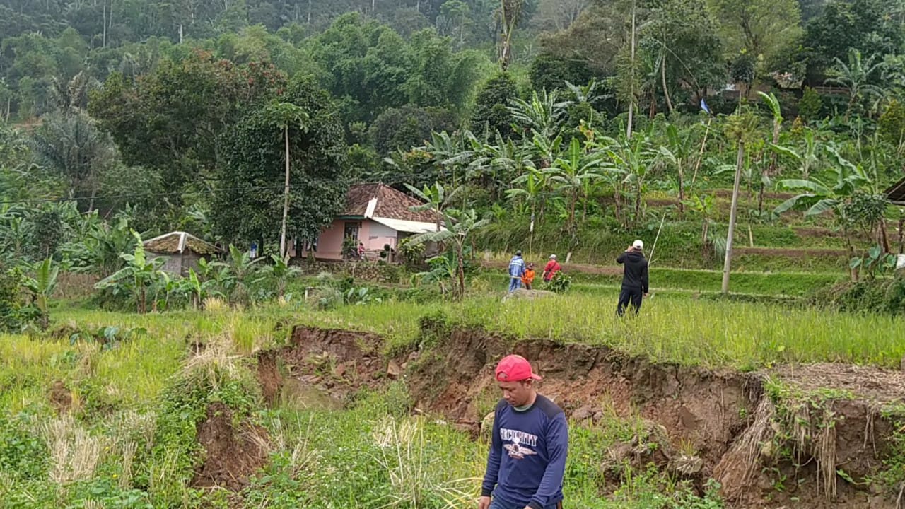 Tiga Hektar Sawah Rusak Akibat Pergerakan Tanah di Kampung Cipari Sukaresmi Cianjur