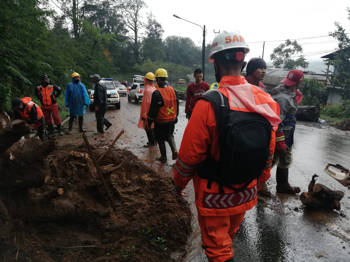 Diguyur Hujan, Tebing Setinggi 6 Meter di Ciloto Cianjur Ambrol