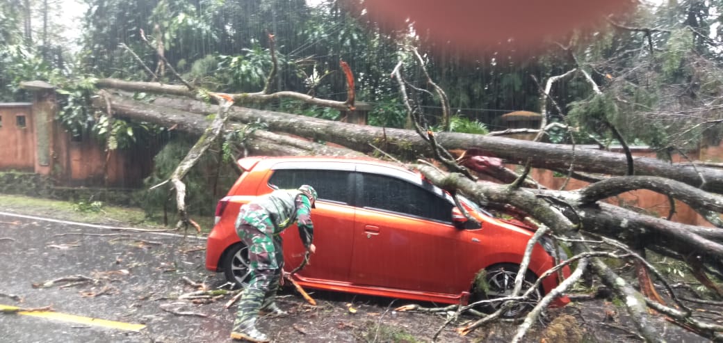 Sebuah Mobil Ringsek Tertimpa Pohon Tumbang di Ciloto Cianjur