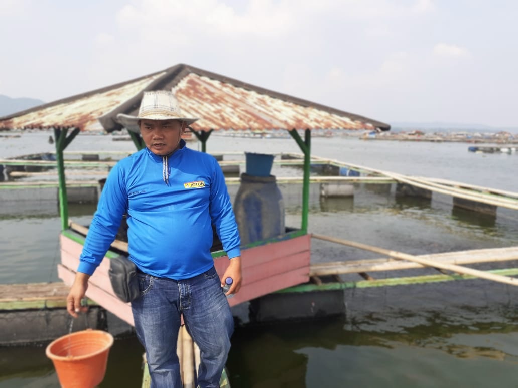 Harga Pakan Ikan Naik Selangit, KPKJA Minta Pemerintah Bantu Cari Solusi