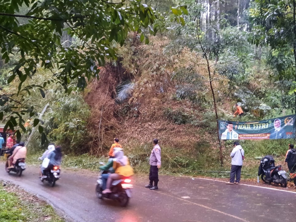 Pohon Tumbang di Ruas Jalan Cibeber-Campaka, BPBD Cianjur: Sudah Lancar Tapi Masih Buka Tutup