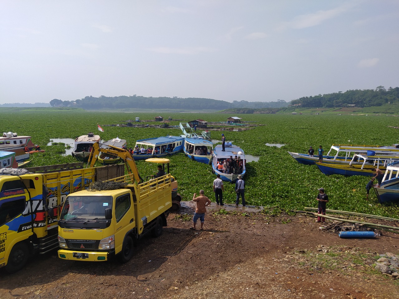 Petugas Gabungan Bersihkan Eceng Gondok di Waduk Cirata