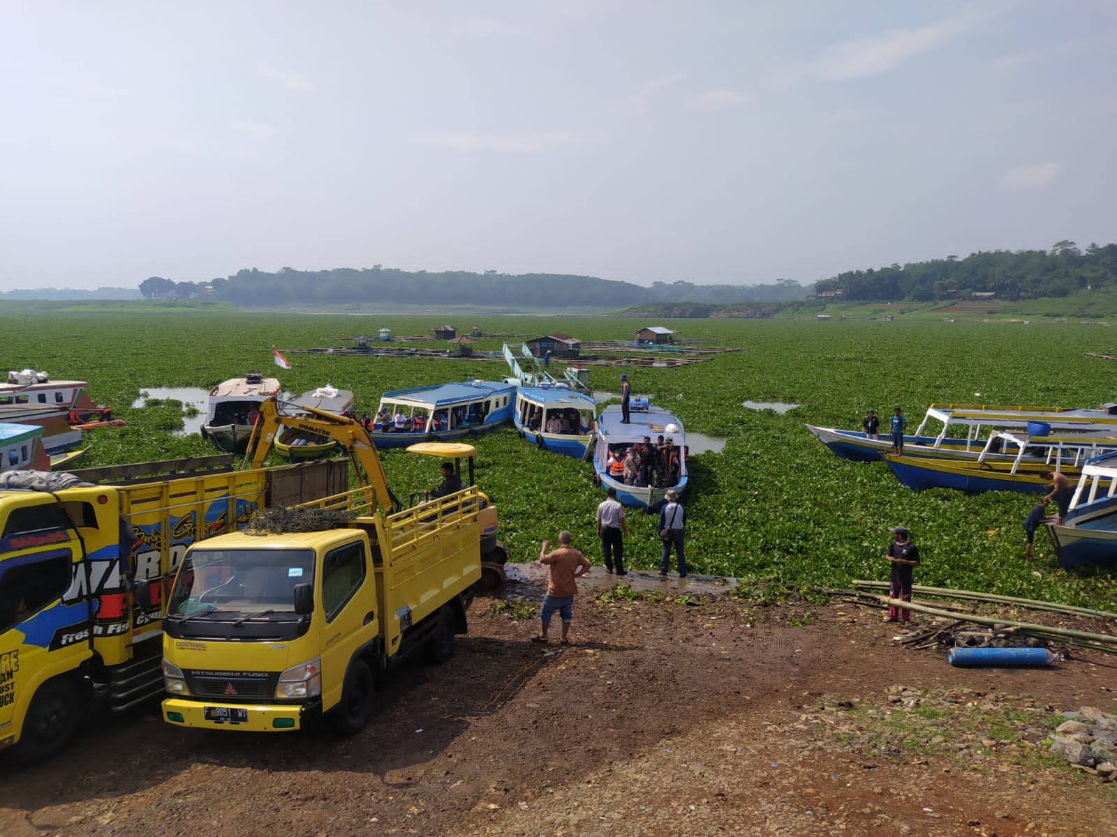 Petugas Gabungan Mulai Bersihkan Ratusan Hektar Hamparan Eceng Gondok di Waduk Cirata Jangari