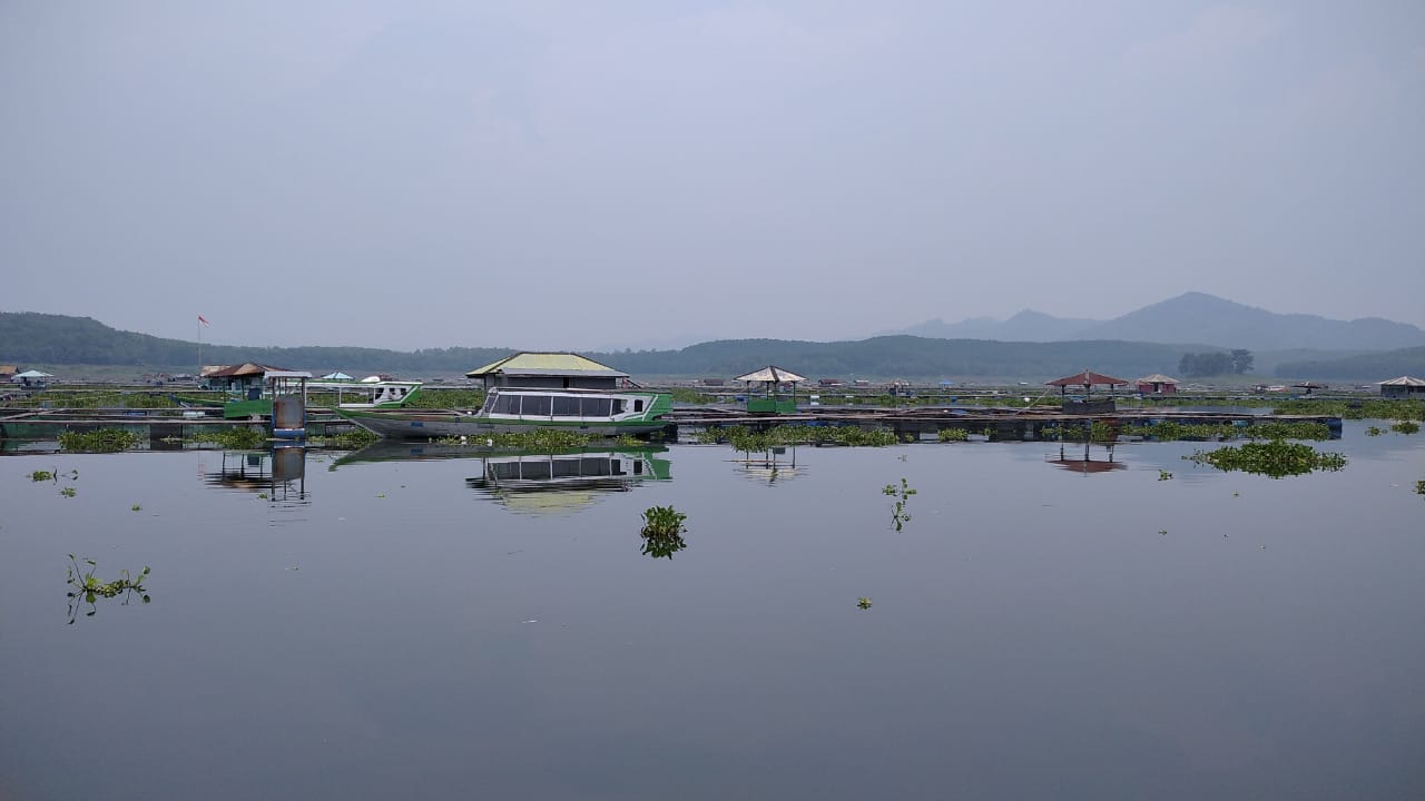 Pasca Ribuan Ikan Mati di Waduk Cirata, UPTD Perikanan Imbau Peternak Kurangi Jumlah Ternaknya di Awal Septemb