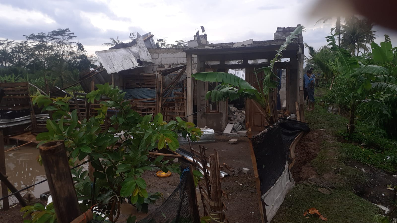 Rumah Ambruk Diterjang Angin Kencang di Karangtengah, Penghuni Luka Ringan