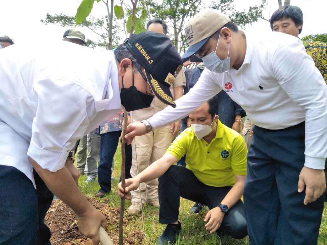 BRIN Selamatkan 22 Jenis Tanaman Langka Nusantara