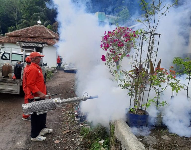 Belasan Warga Desa Cibadak Cibeber Terjangkit Cikungunya