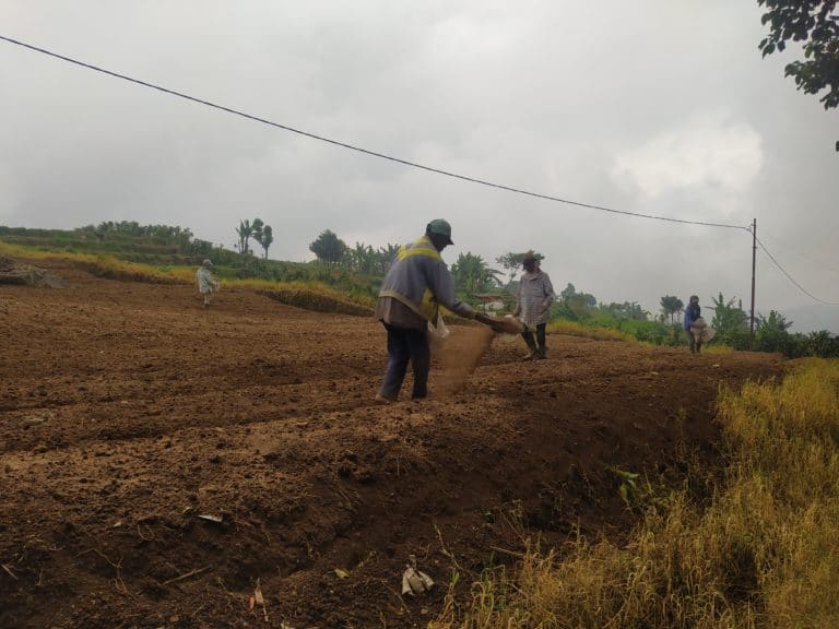 Bibit Sayuran dan Pupuk Naik, Petani di Cianjur Minta Pemerintah Cek ke Lapangan