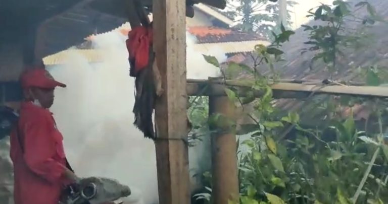 Dua Warga Jadi Korban DBD, Pihak Desa Lakukan Fogging