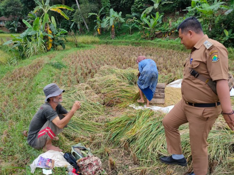 Stok Beras di Gudang Bulog Cianjur Masih Cukup