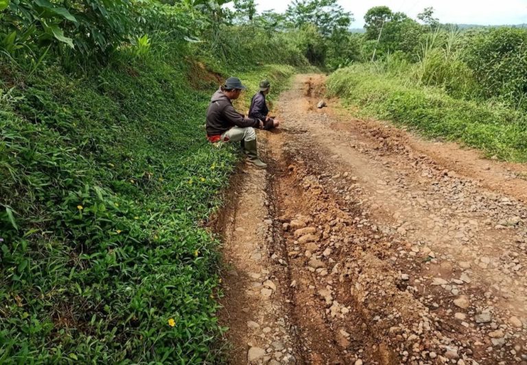 Pemkab Cianjur Alokasikan Rp110 Miliar Perbaikan Jalan dan Bangun 9 Irigasi