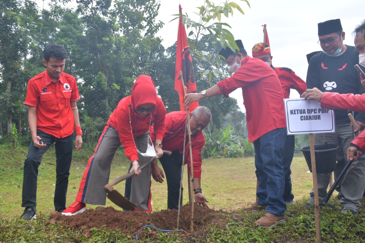 Gerakan Merawat Pertiwi, PDIP Cianjur Tanam Ratusan Pohon Mahoni