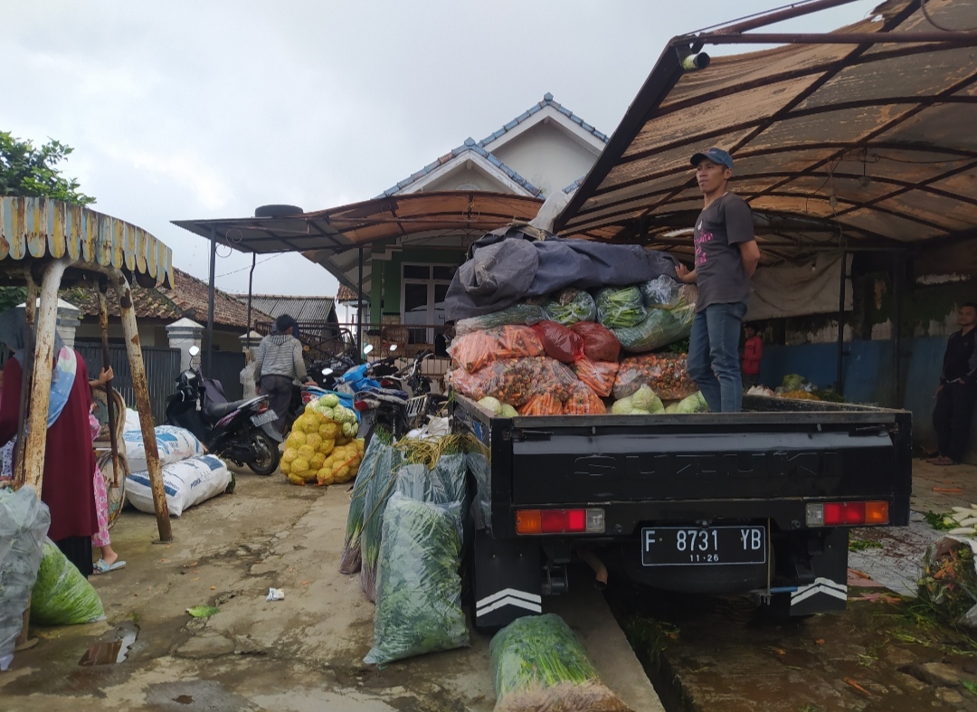 Harga Sayuran Masih Murah, Begini Tanggapan BUMD Cianjur Sugih Mukti