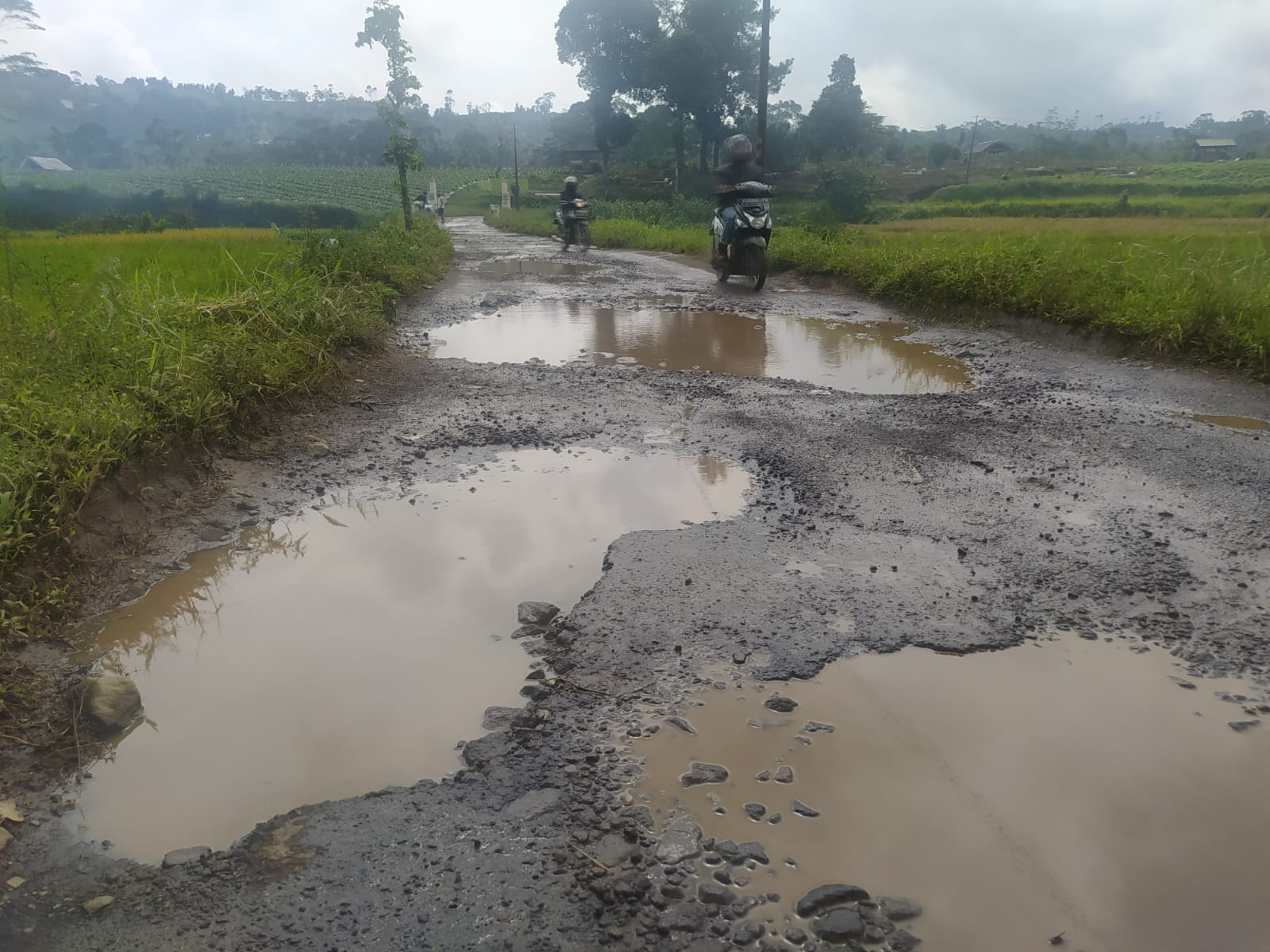 Jalan Penghubung Kabupaten Rusak Parah 4614