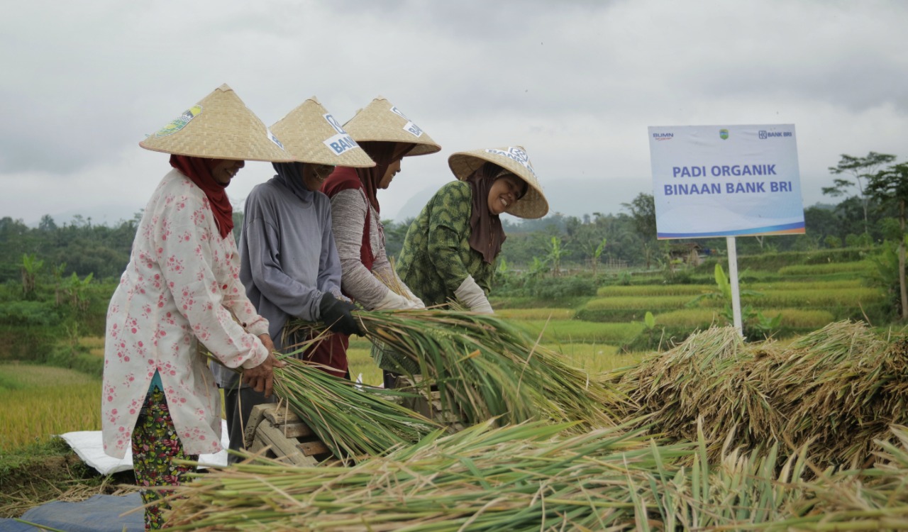 Pembiayaan Ultra Mikro Selamatkan Petani dari Jeratan Rentenir